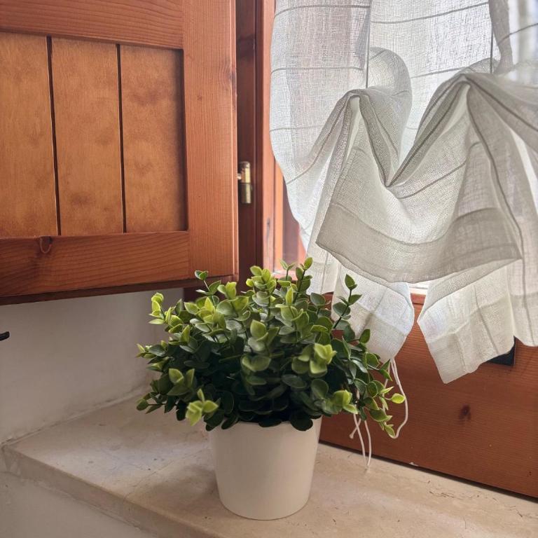 Sanvitoventi - Appartamento con 1 Camera da Letto - 7