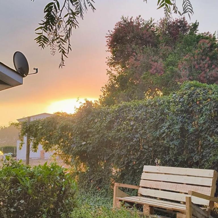 Tiny house experience - One-Bedroom House - 1