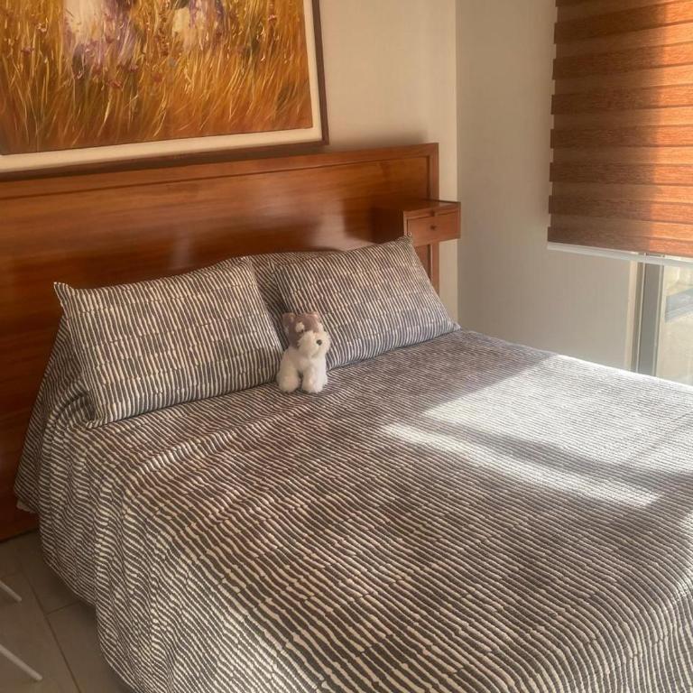 Departamento Eurocosta Concón Primera Linea - Apartamento de 3 dormitorios - 31