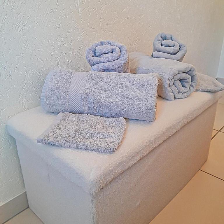 Y Hôtes- Ambiance Montagne T2 Station Hirmentaz - Appartement 1 Chambre avec Terrasse - 13