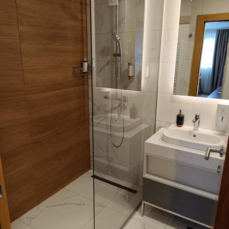 Apartmani Trg Zlatibor - One-Bedroom Apartment - 20
