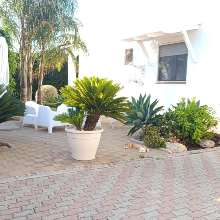 Villa Faby - Appartamento con 1 Camera da Letto - 3