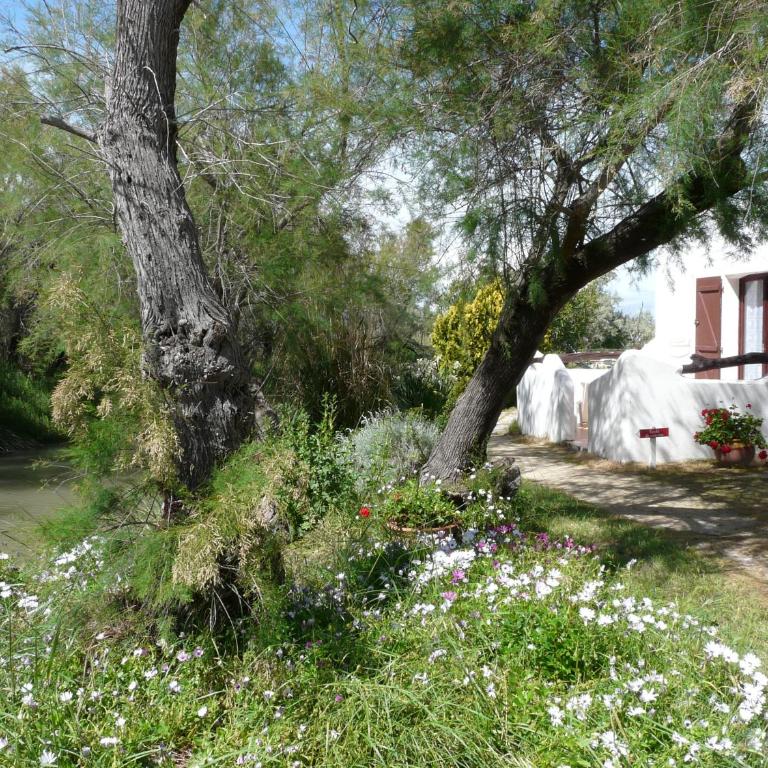 Mas des Colverts - Camera Matrimoniale con Vista Giardino - 2