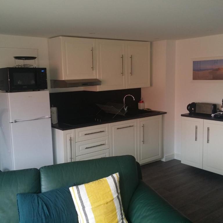 Les Locations du Bassin Appartements Alexandre - Appartement 1 Chambre - 9