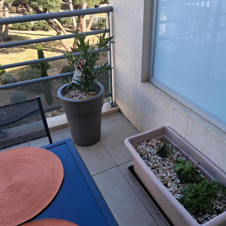 Aux rivages de Sylvie - 150 m de la plage - Appartement 1 Chambre - 7