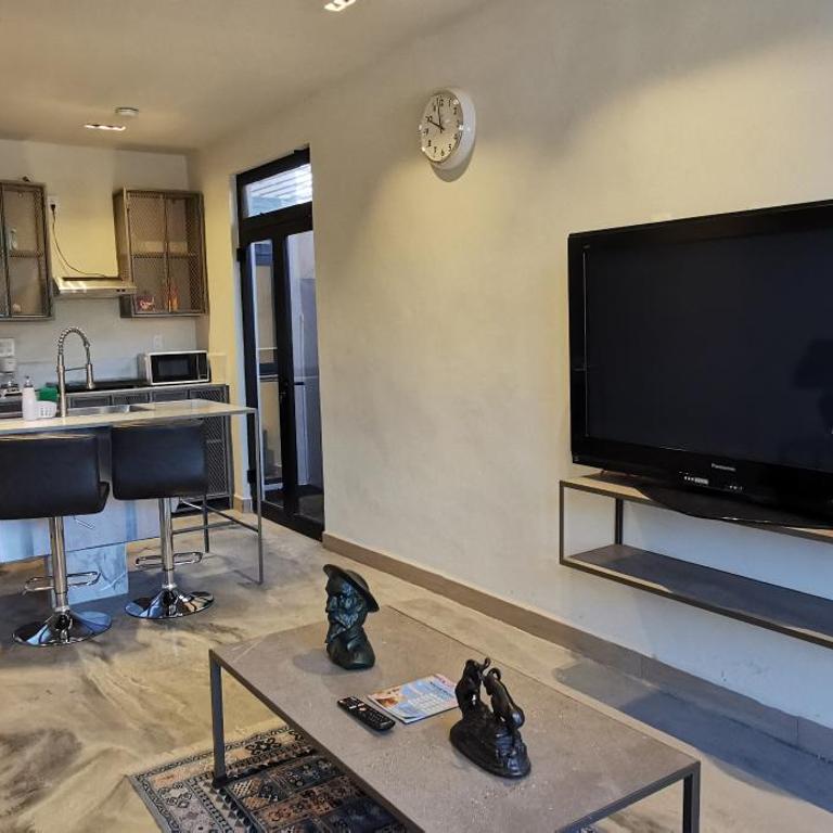 Depto Pino Blanco by tuhost - One-Bedroom Apartment - 7