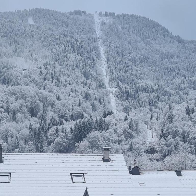 TigerLily, Samoens - Appartement 3 Chambres - 4