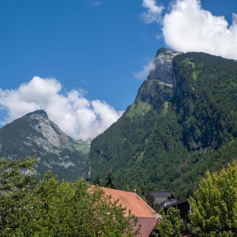 TigerLily, Samoens - Appartement 3 Chambres - 34