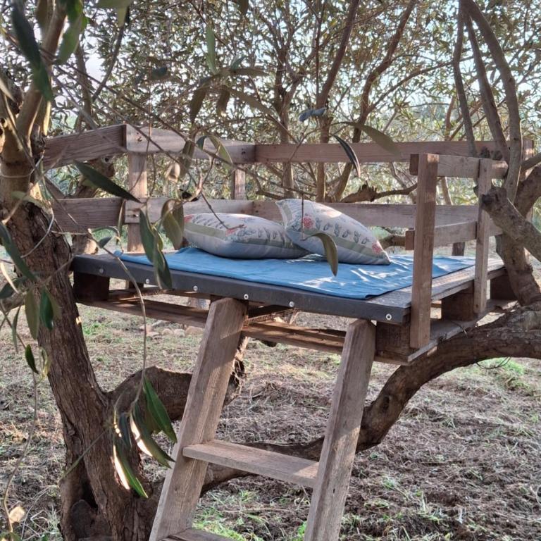 Casa country - Casa con 2 Camere da Letto - 44