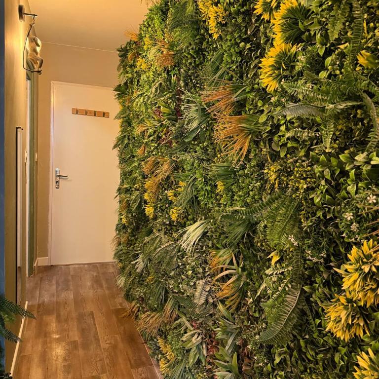 Le Jungle - Apartamento de 1 dormitorio - 12