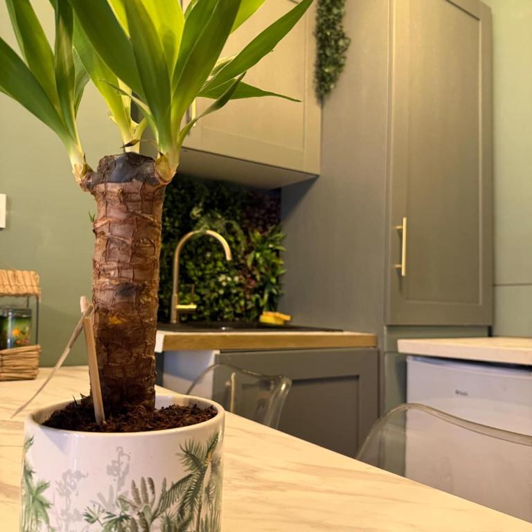 Le Jungle - Apartamento de 1 dormitorio - 17