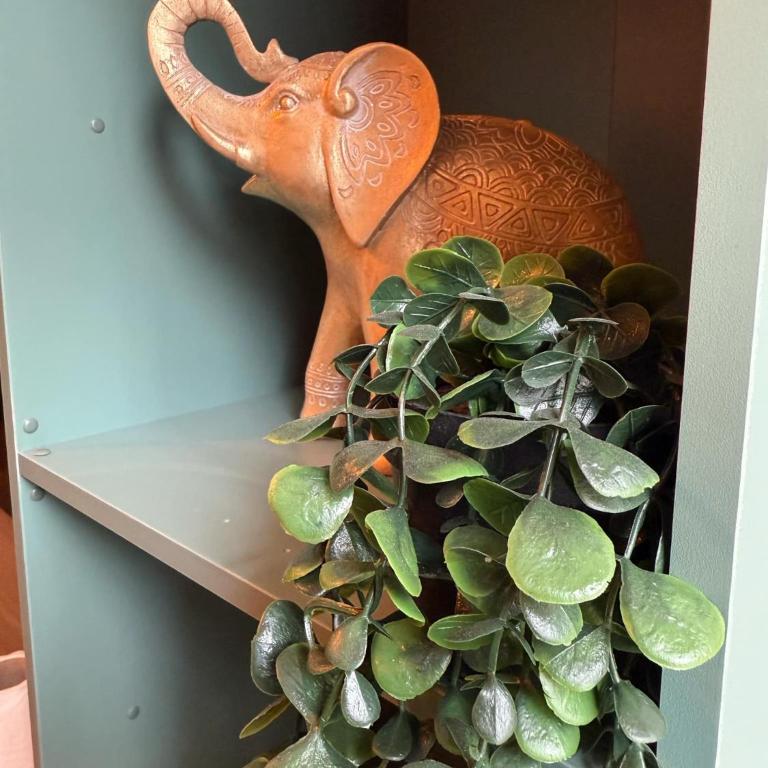 Le Jungle - Apartamento de 1 dormitorio - 23