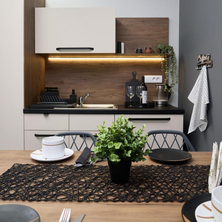Brent Collection - Apartments in City Center - Deluks Apartman s 1 Spavaćom Sobom - 4