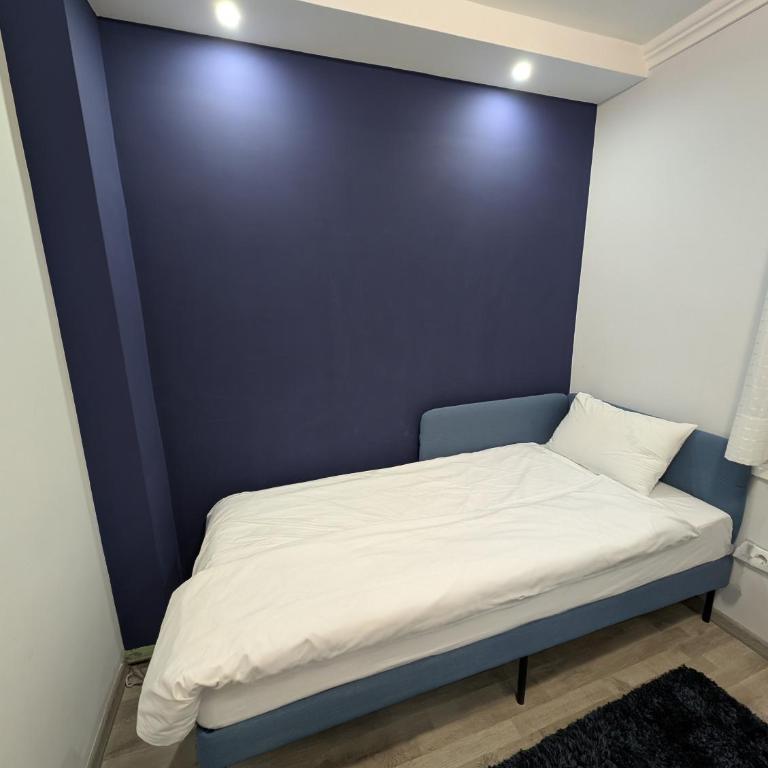 Top Belgrade Apartments - Apartman sa 2 Spavaće Sobe - 18