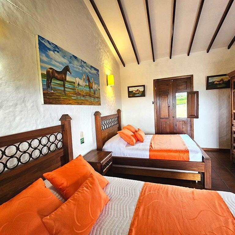 Charming villa, pool, jacuzzi, 10 min Coffee Park - Villa - 5