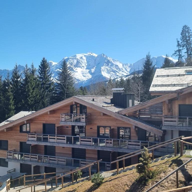 Appartement neuf 2 chambres près des pistes à Combloux avec parking - Appartement 2 Chambres - 12