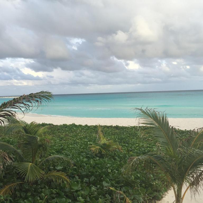Departamento vista al mar Oceanview apartment - One-Bedroom Apartment - 17