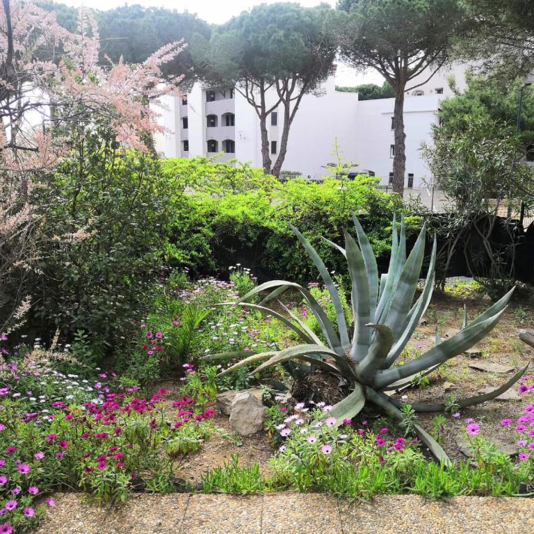 Gruissan: Maisonnette T2 avec jardin - Appartement 1 Chambre - 2