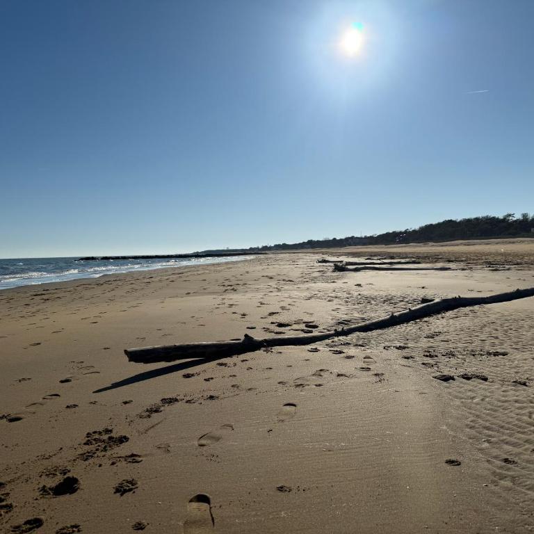 Sunny apartment by the beach - Appartamento con 1 Camera da Letto - 19