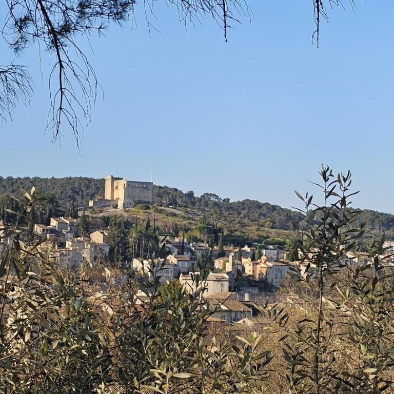 Villa Calou à Vaison - Maison 4 Chambres - 60