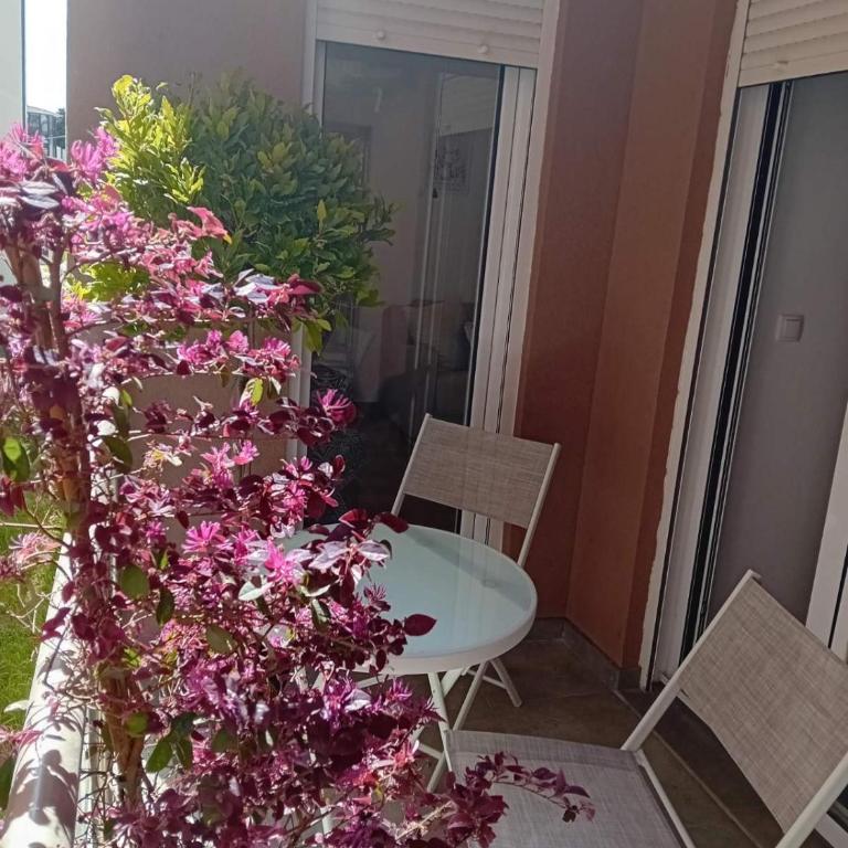 Piano Seaside - Apartman sa 1 Spavaćom Sobom - 2