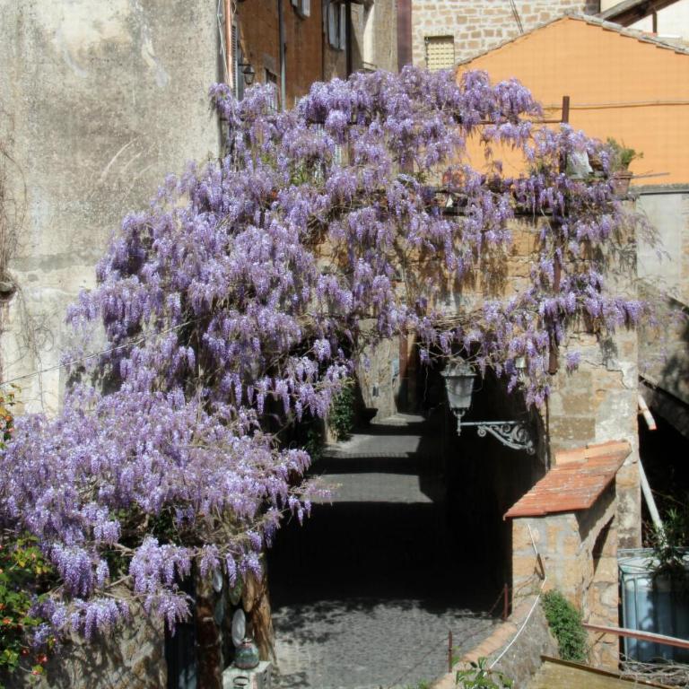 Home in Orvieto - Via dei Dolci - Appartamento Deluxe - 24