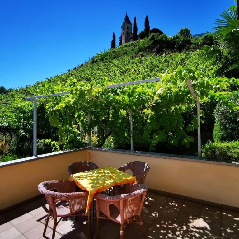 Ferienhof Franzelin - Apartamento con terraza - 12