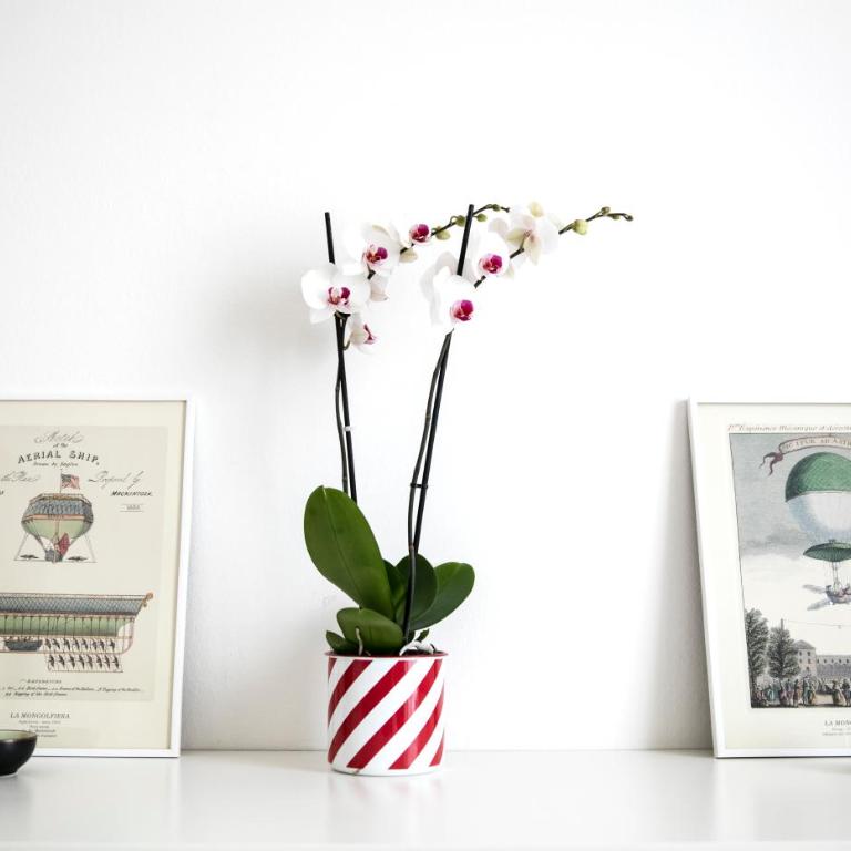 Lovely Sempione Apartment - Appartamento con 2 Camere da Letto - 9