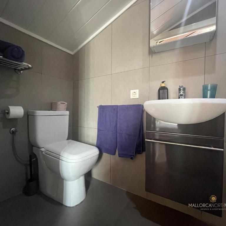 Apartamento Aurora 3 - Apartamento - 16