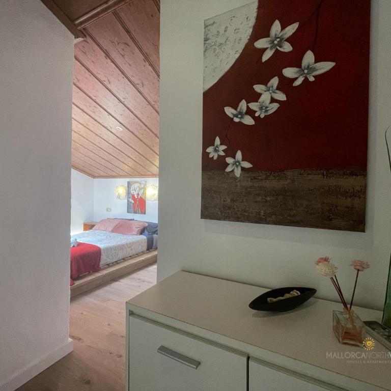 Apartamento Aurora 3 - Apartamento - 18