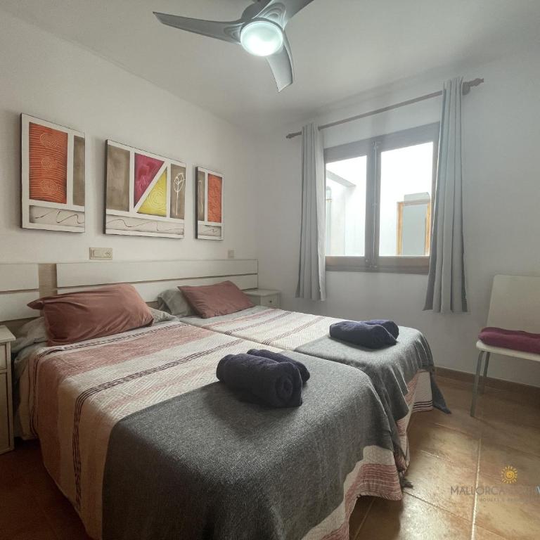 Apartamento Aurora 3 - Apartamento - 14