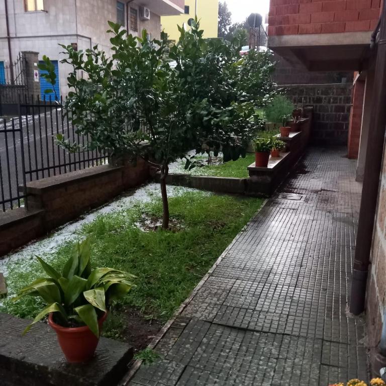 La Casa dei Nonni - Casa con 3 Camere da Letto - 10