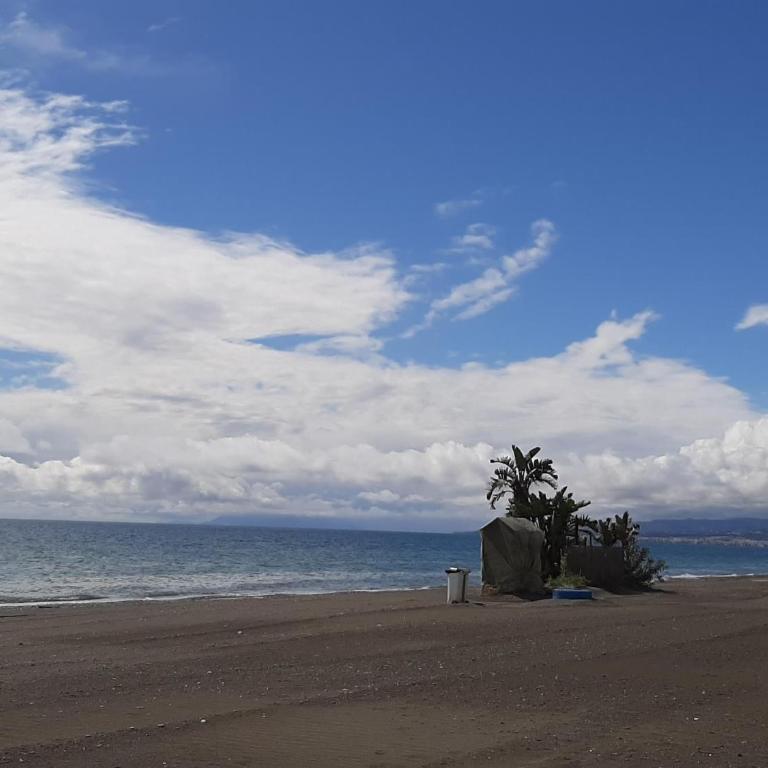 laguna 7 4.14 - Apartamento - 33