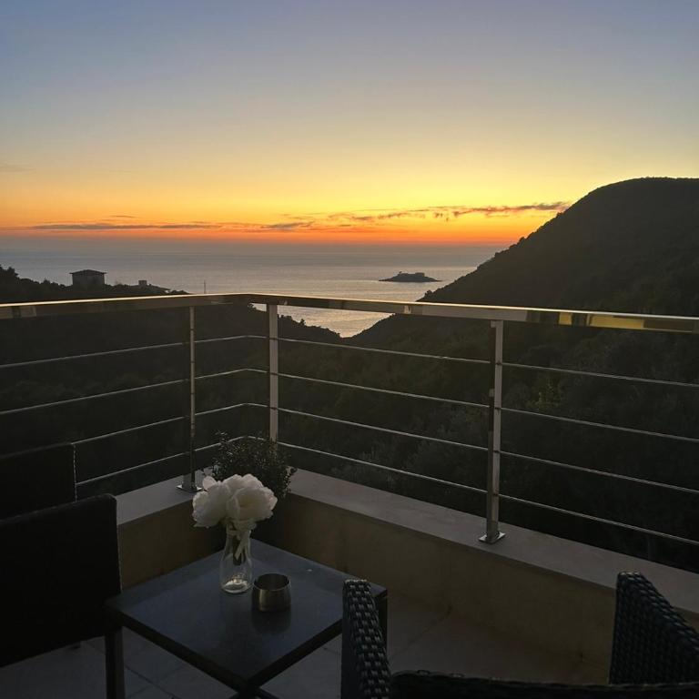 MONGOOSE - One-Bedroom Apartment - 5