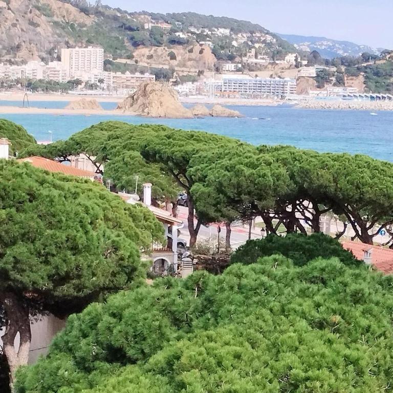 Bravaholidays-125-Canastel 37 - Apartamento de 1 dormitorio - 22