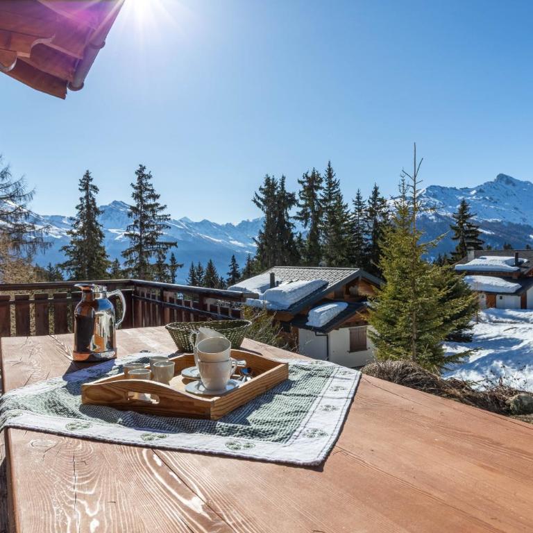 Esperanza SKI IN & SKI OUT chalet 8 pers - Chalet - 19