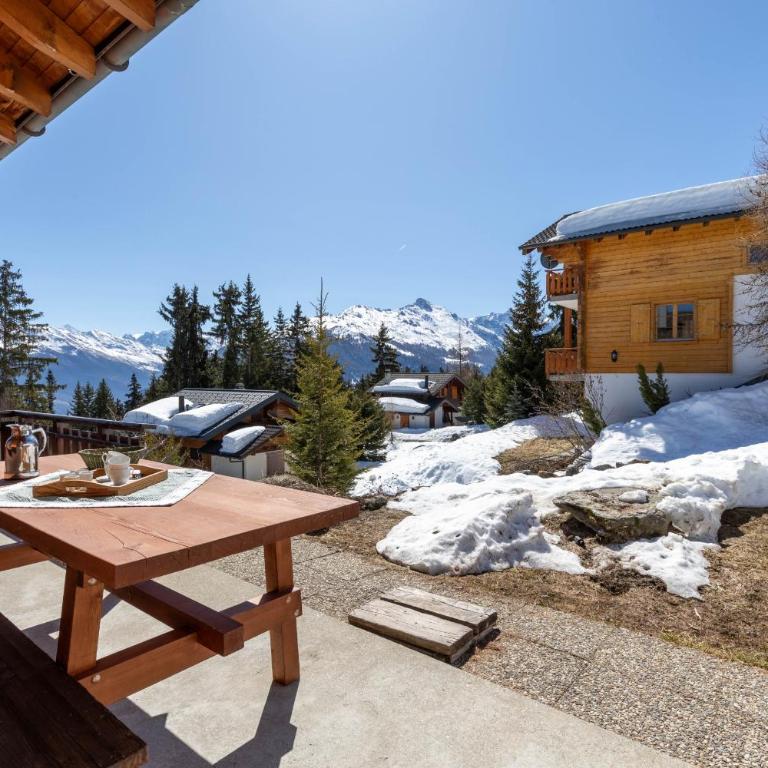 Esperanza SKI IN & SKI OUT chalet 8 pers - Chalet - 18