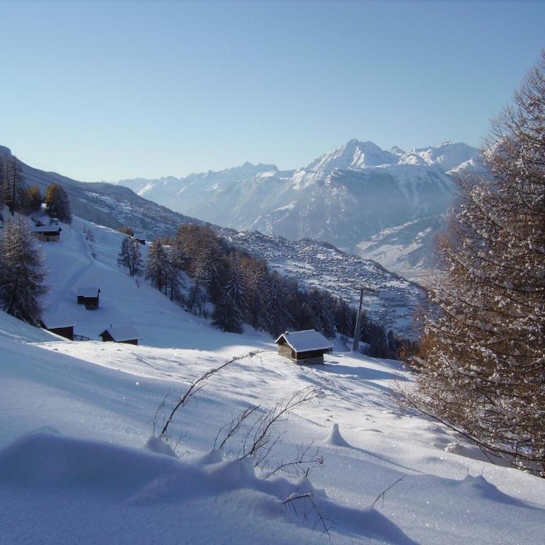 Esperanza SKI IN & SKI OUT chalet 8 pers - Chalet - 25