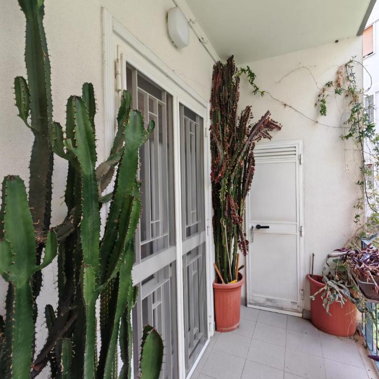Mandragora #11 HOWME - Appartamento con 2 Camere da Letto - 5