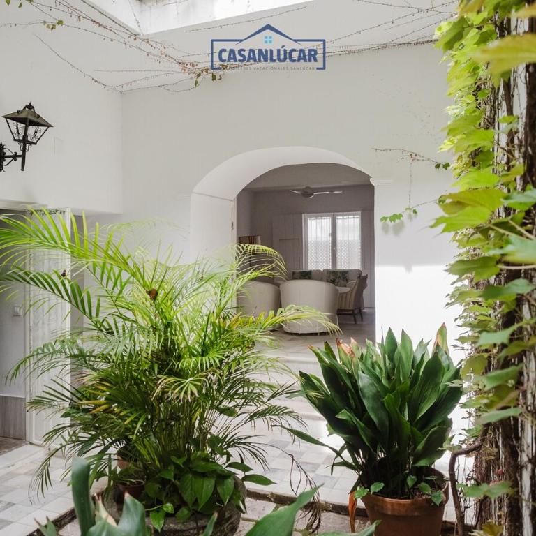 Casa Puerto Lucero - Casa de 6 dormitorios - 43