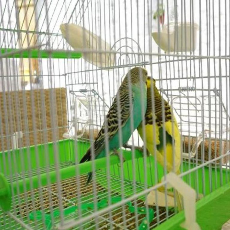 Guest House Bonaca - Apartman - 34