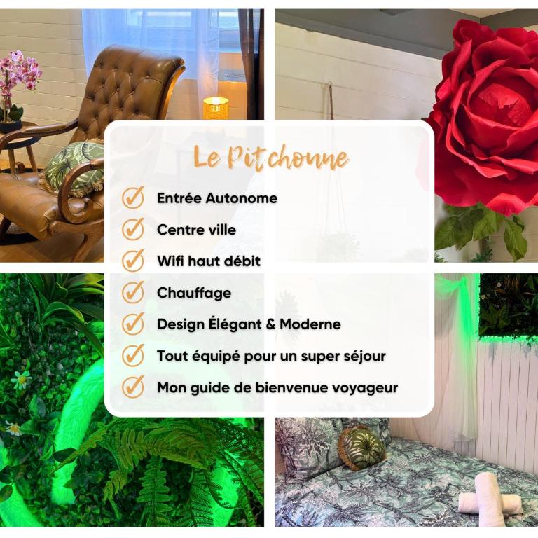 Pitchoune - Centre -Wifi - Equipé - Appartement 1 Chambre - 3