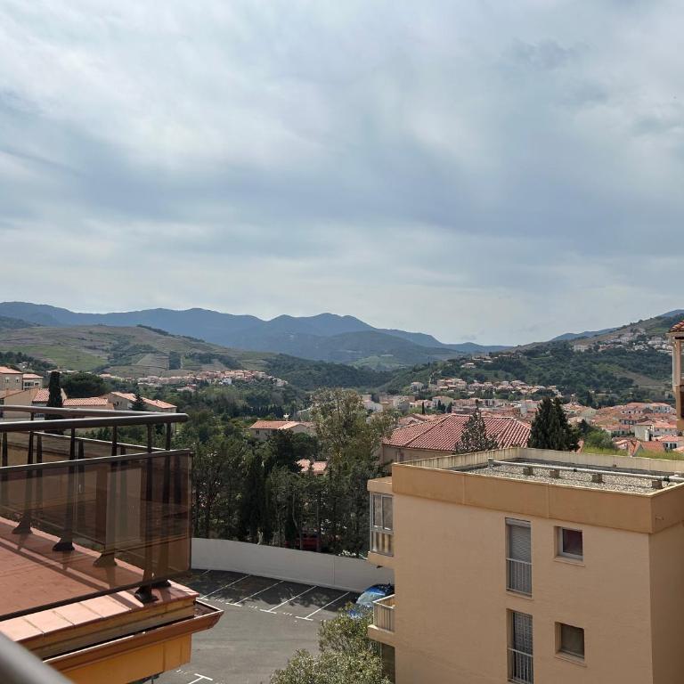 Appart 2 pièces - cabine 4 couchages BANYULS SUR MER BN130-B45 - One-Bedroom Apartment with Sea View and Terrace - 21