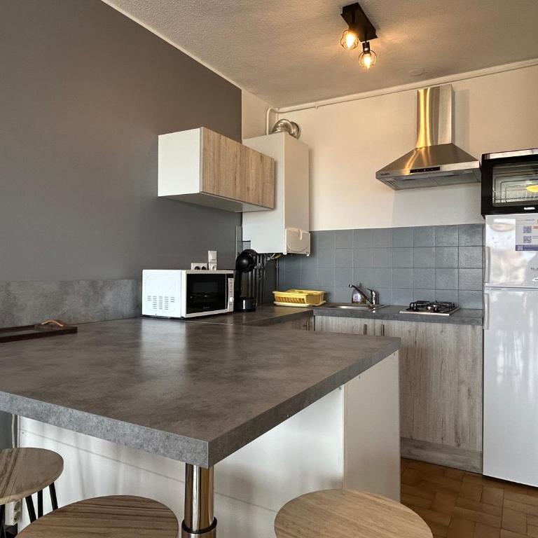 Appart 2 pièces - cabine 4 couchages BANYULS SUR MER BN130-B45 - One-Bedroom Apartment with Sea View and Terrace - 11