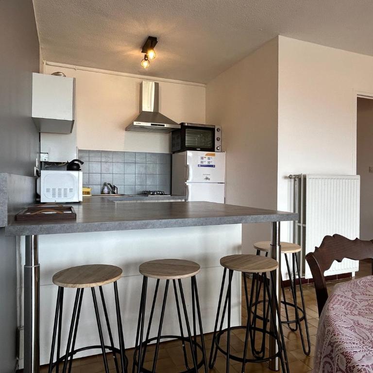 Appart 2 pièces - cabine 4 couchages BANYULS SUR MER BN130-B45 - One-Bedroom Apartment with Sea View and Terrace - 10