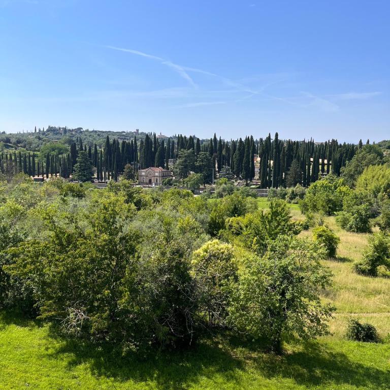 Toscana in Città - Silenzioso APT immerso nella natura - Appartamento con 1 Camera da Letto - 25