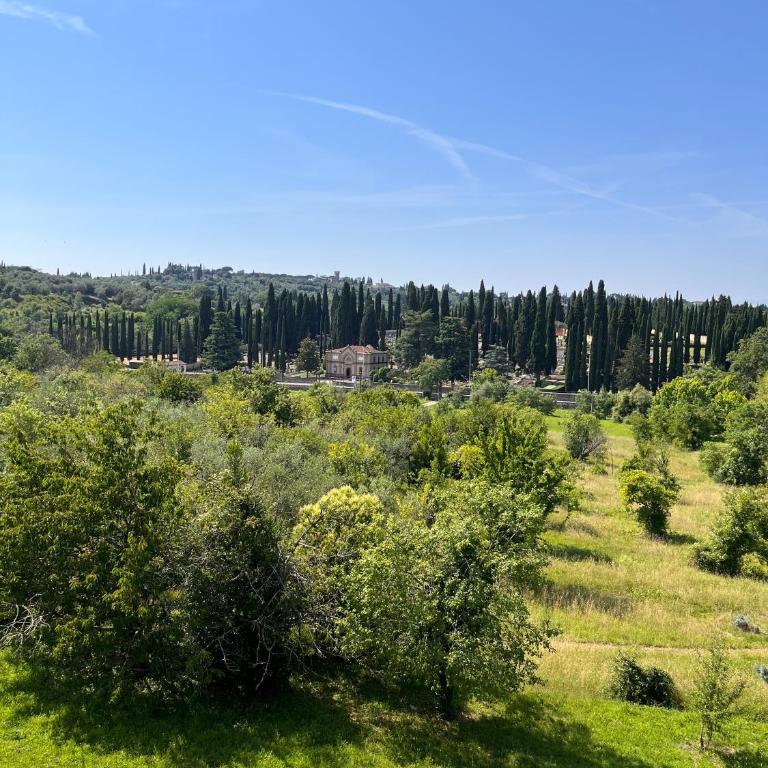 Toscana in Città - Silenzioso APT immerso nella natura - Appartamento con 1 Camera da Letto - 23