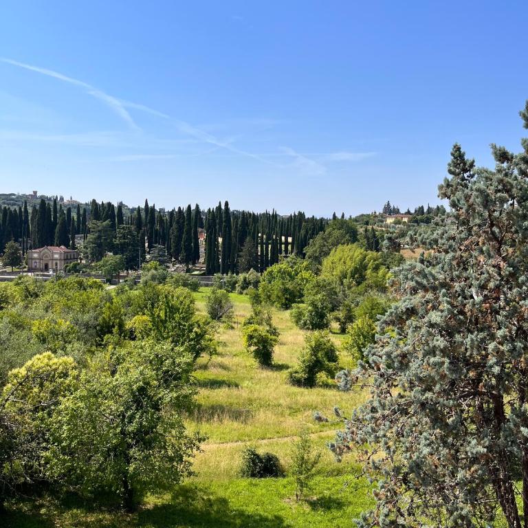 Toscana in Città - Silenzioso APT immerso nella natura - Appartamento con 1 Camera da Letto - 24