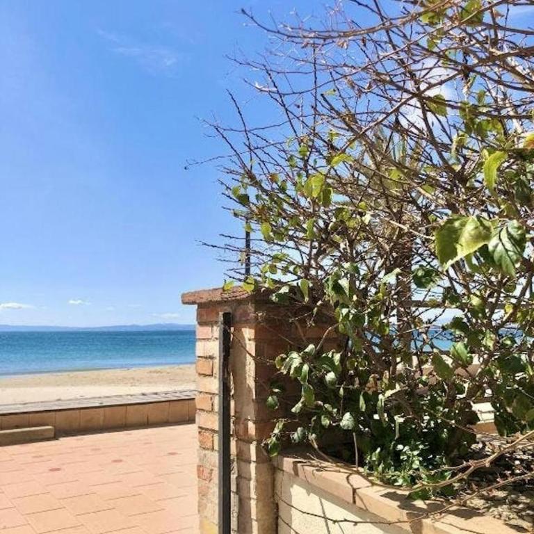 Apartamentos Stella Maris - Apartment with Terrace - 2