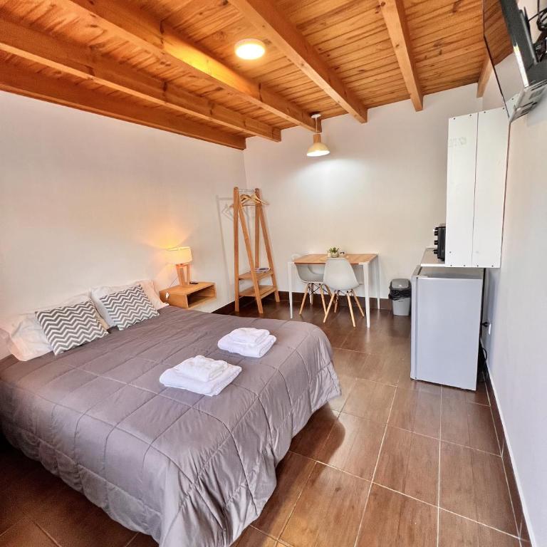 Apart Las Carretas - Habitación Doble Estándar - 16